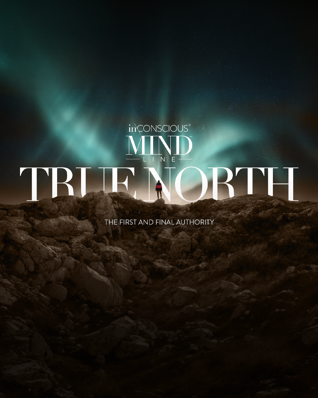 True North original immersion artwork