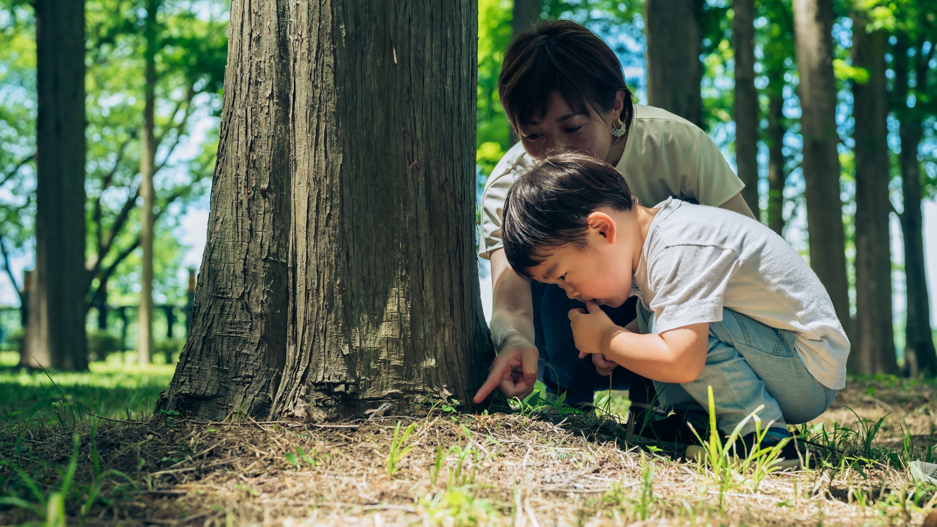 A toddler in an orange shirt walks on the grass, sunlight illuminating their hair. This moment of connection with nature supports the peaceful scene, where a person sits quietly in the background.