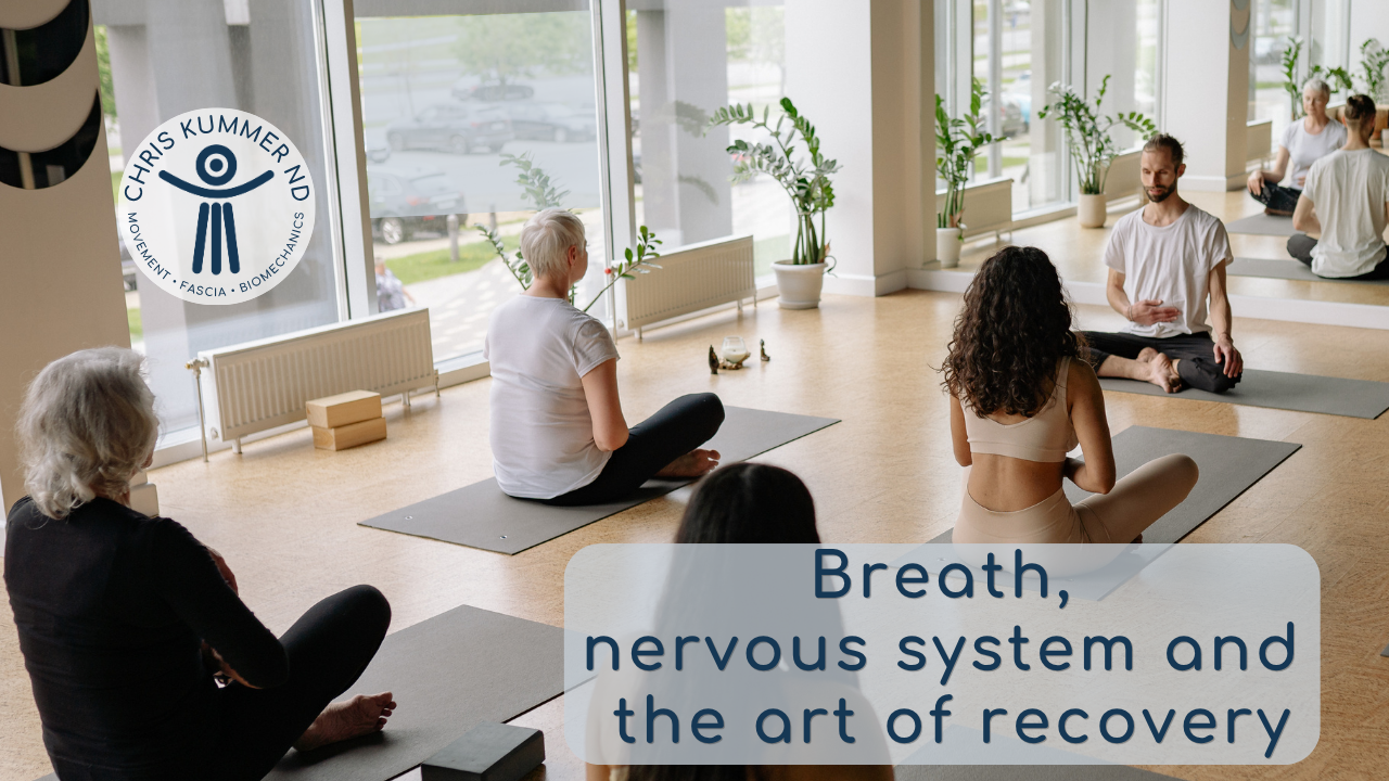 Breath, nervous system and the art of recovery