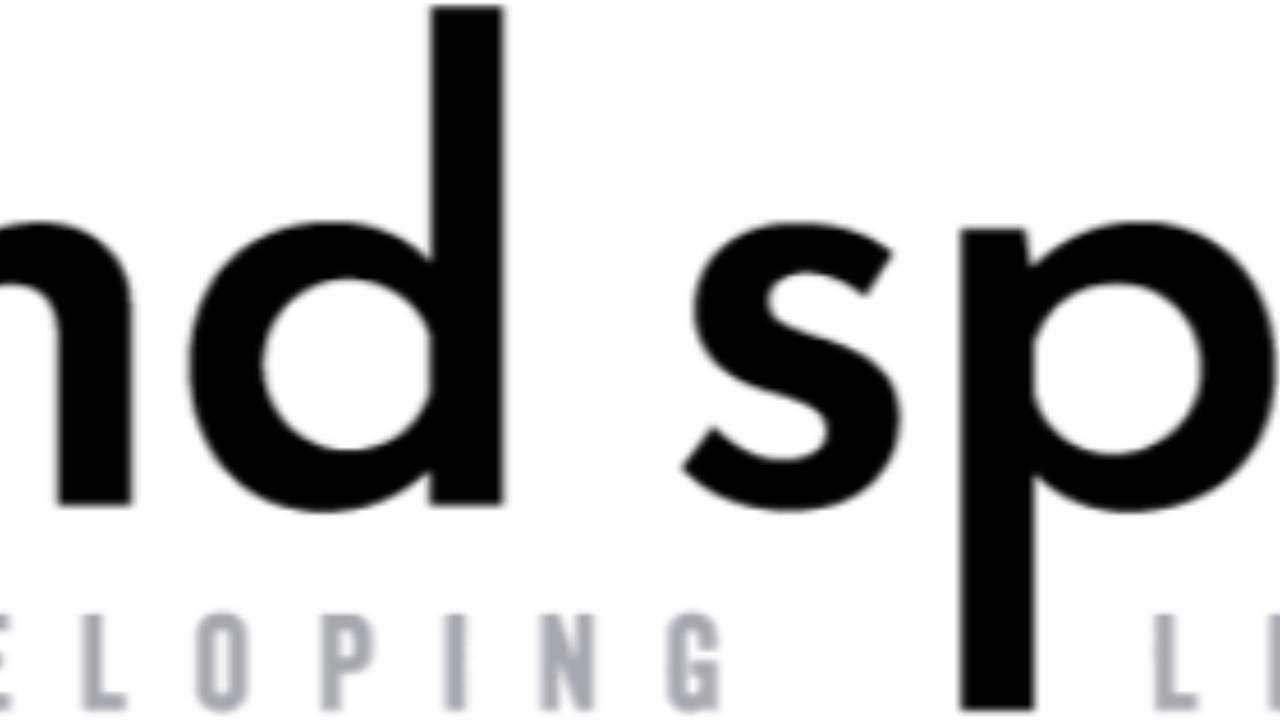 About the Blind Spot Assessment