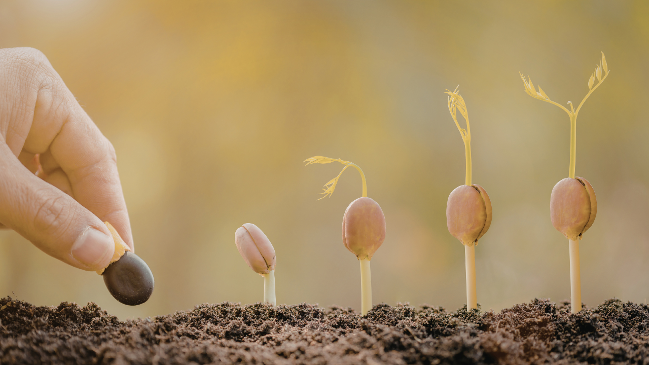 Massive Growth Organically? Yes You Can! | E62
