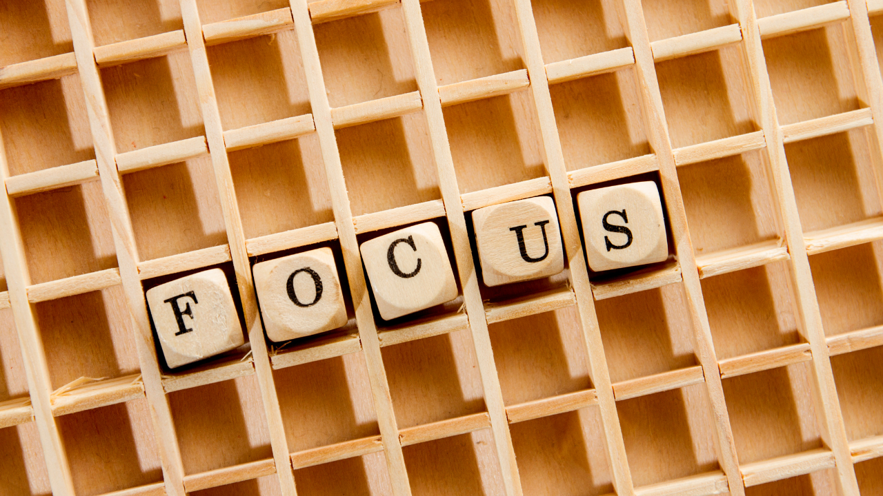 focus blocks