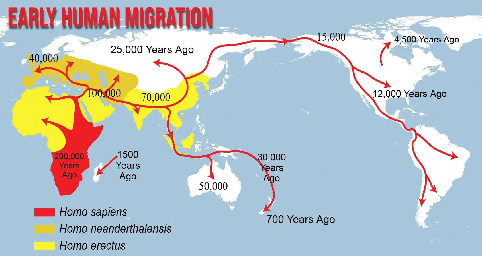 Early Human Migration Map