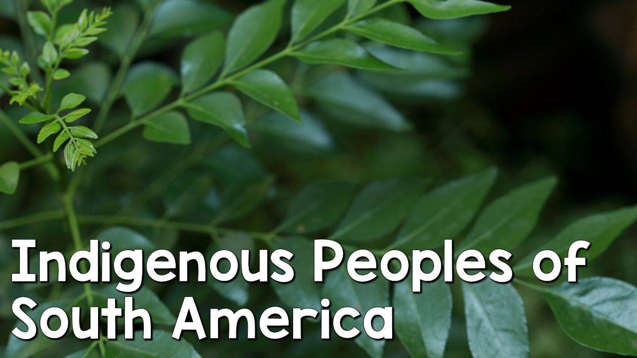 Indigenous Peoples of South America
