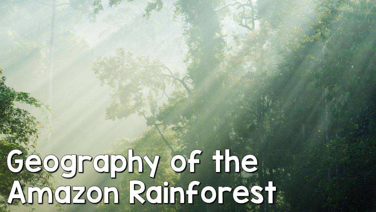 HOW LARGE WAS THE AMAZON RAINFOREST visual data 4