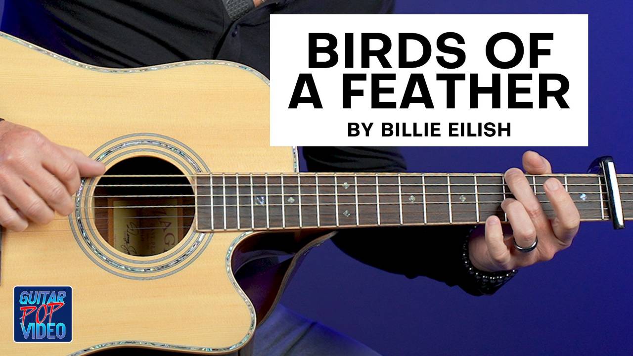 Guitar Pop Video Birds Of A Feather By Billie Eilish