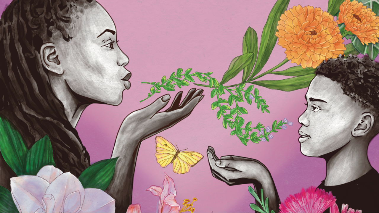 the confident family herbalist book cover