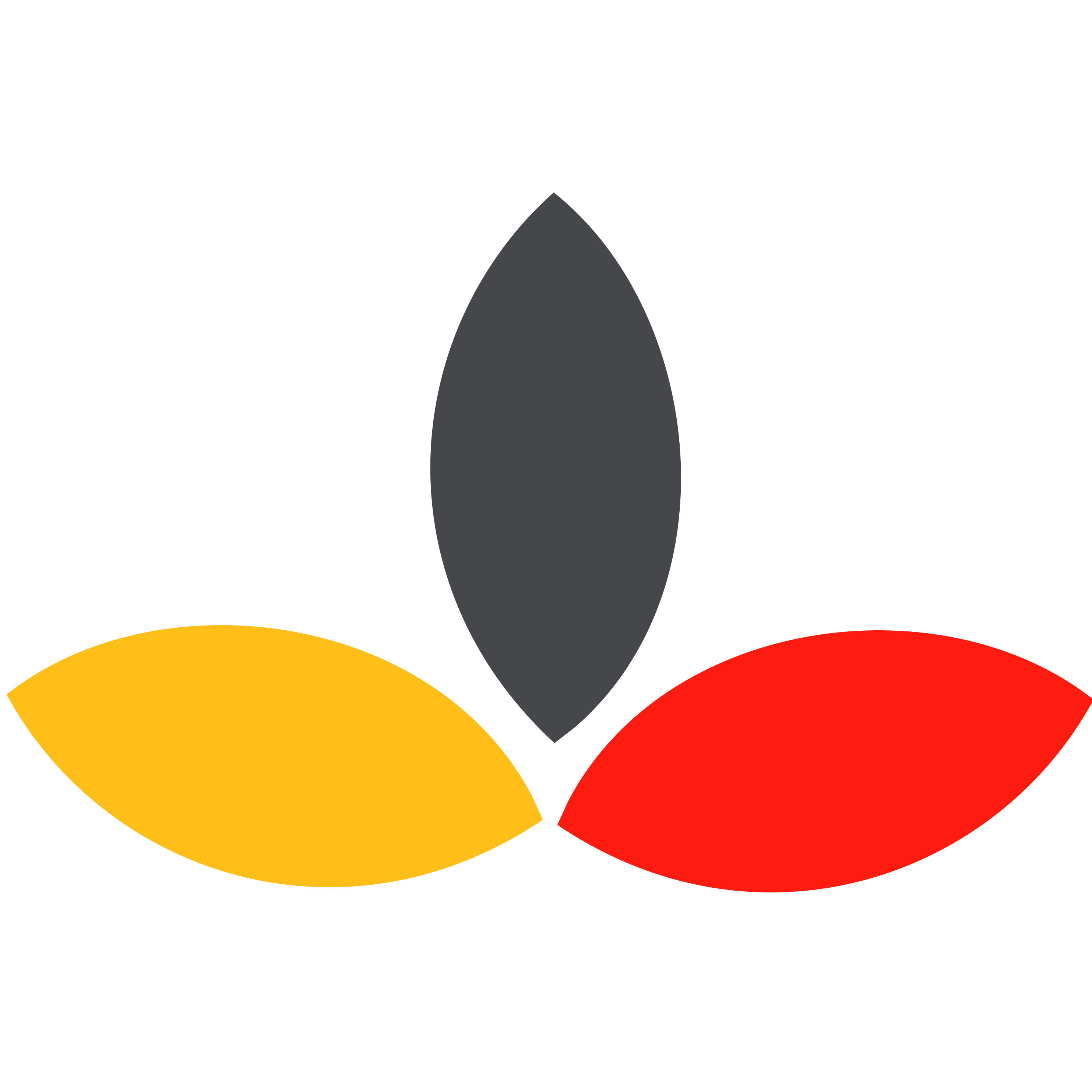 Footer Logo