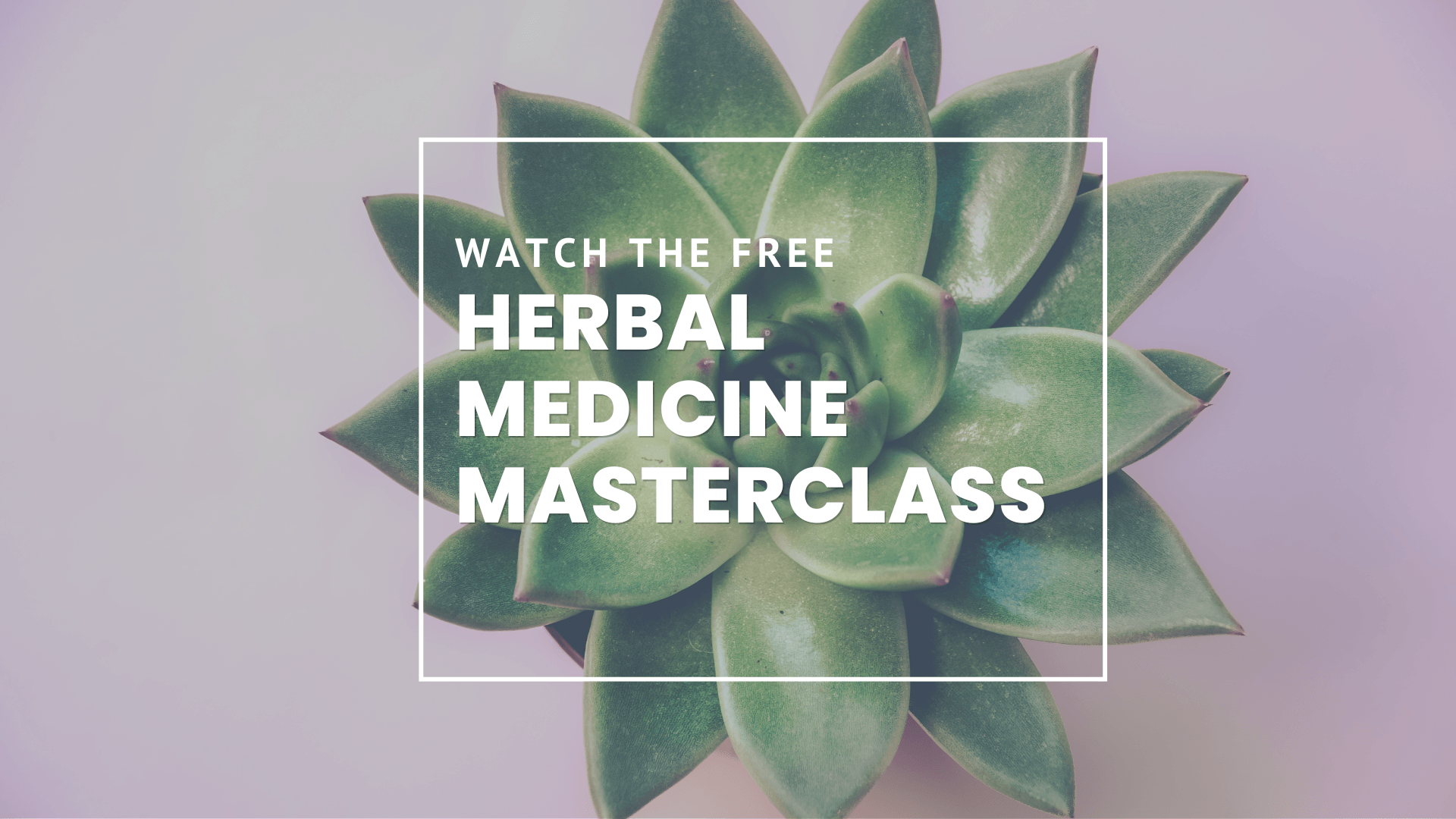 Herbal Medicine Masterclass