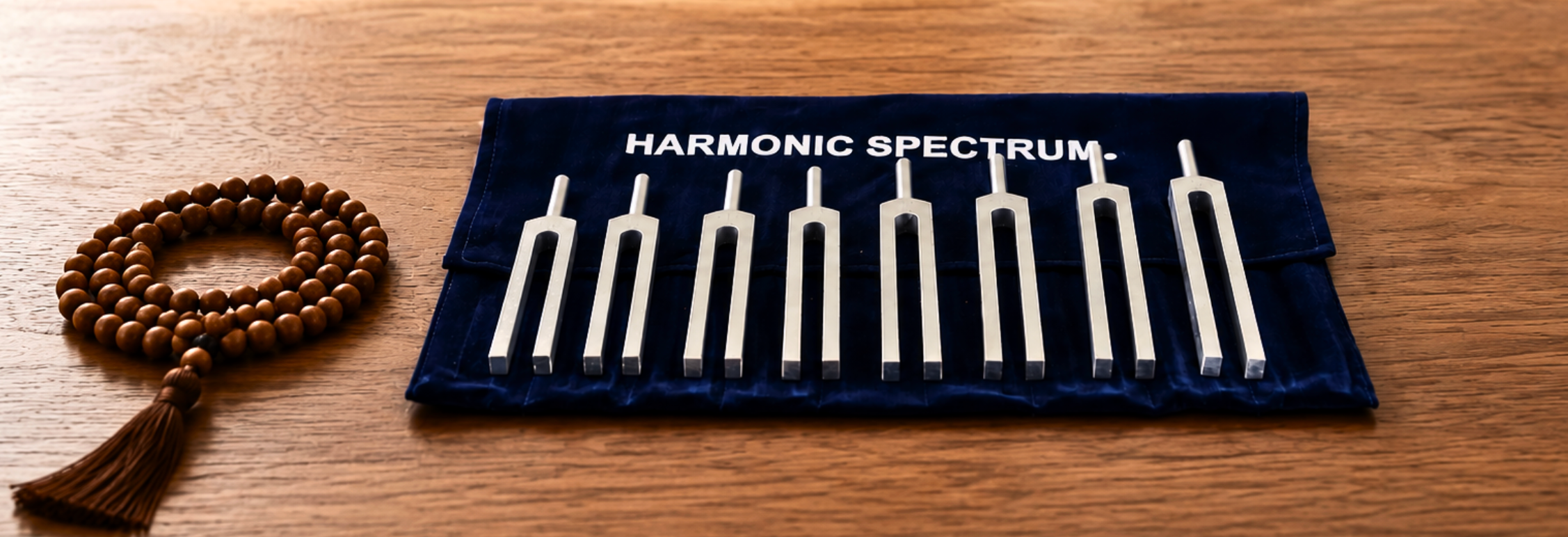 Tuning Forks Course