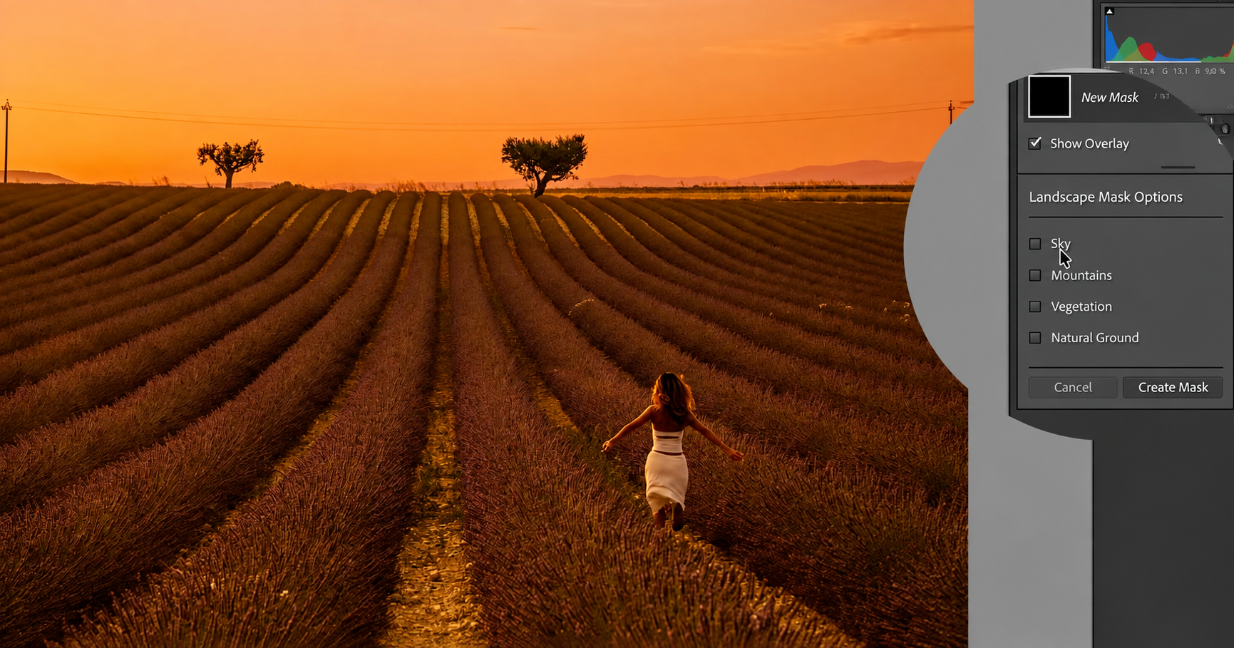Lightroom's Landscape Mask Options panel with Sky, Mountains, Vegetation, and Natural Ground checkboxes