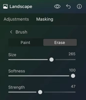 Luminar Neo's masking brush controls, showing Paint and Erase modes with Size, Softness and Strength sliders
