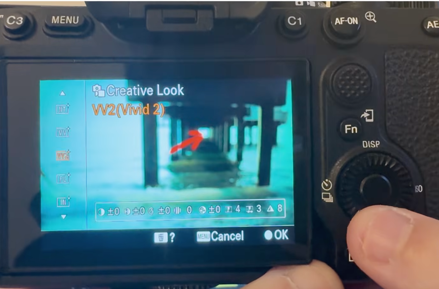 Setting the Sony camera's Creative Look to Vivid 2 for punchier color straight out of camera