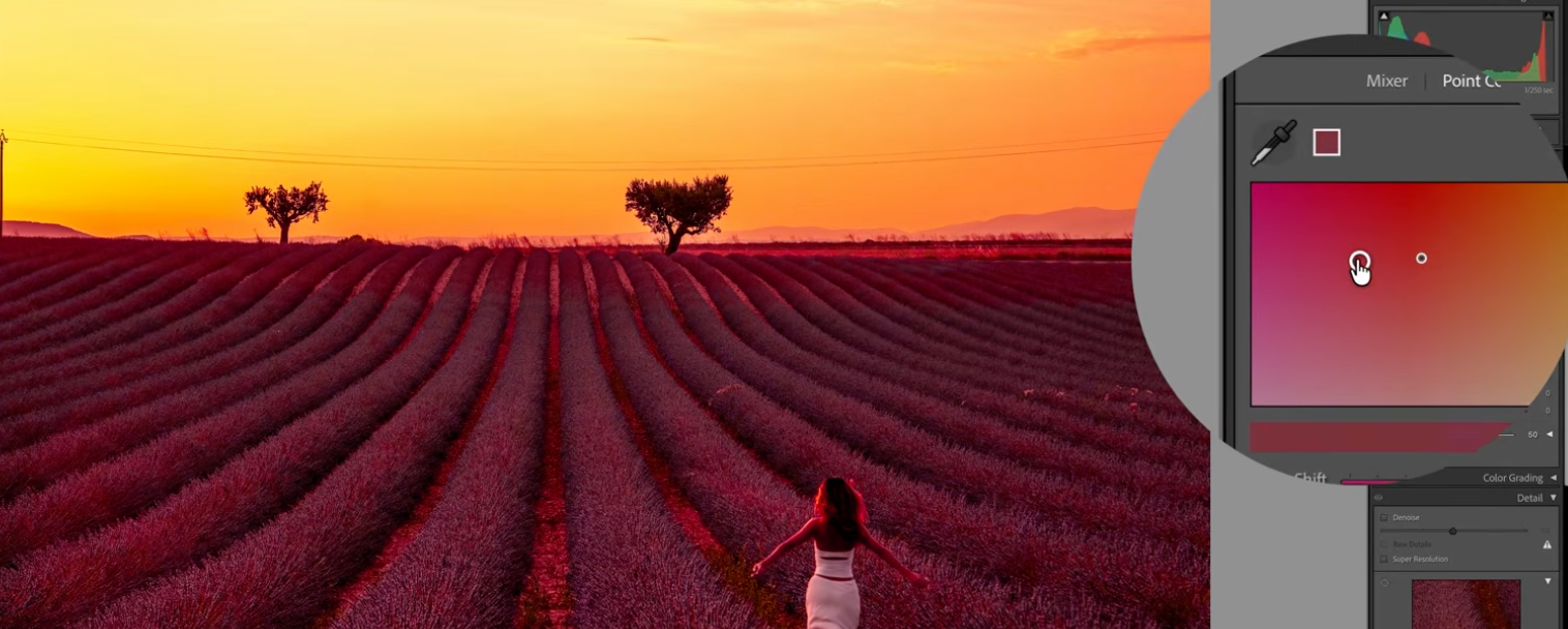 The Point Color tool with the dropper sampling a magenta tone directly from the lavender field