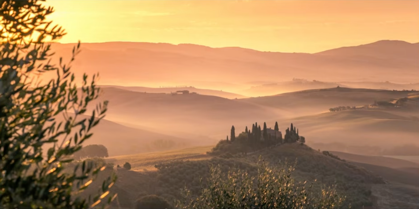 Foggy Tuscan hills with olive branches in the foreground