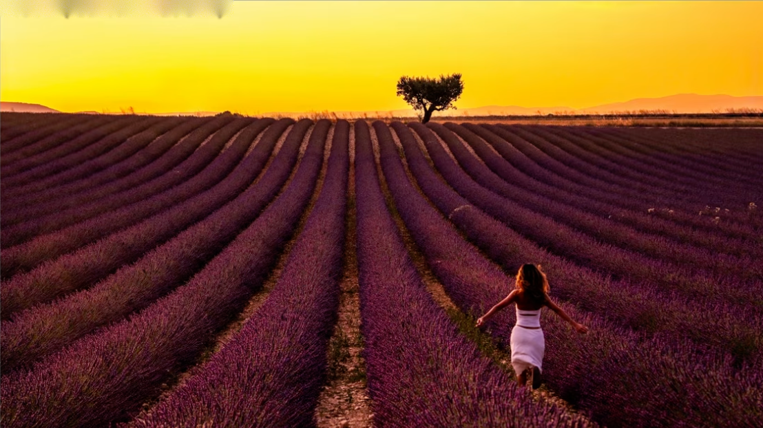 The same lavender field at sunset with the correct, warm white balance