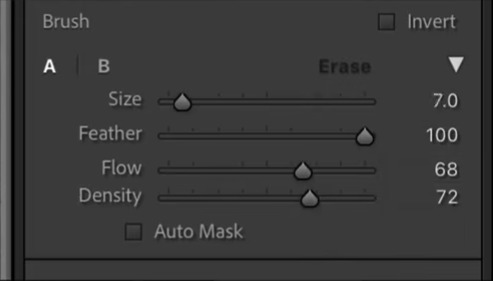 Soft brush settings in Lightroom with Feather 100 and low Exposure for subtle light effects