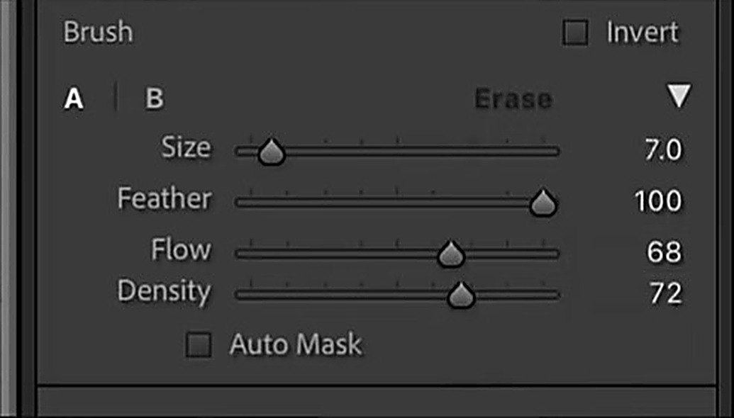 Soft brush settings in Lightroom with Feather 100, Flow 68 and Density 72 for subtle light effects
