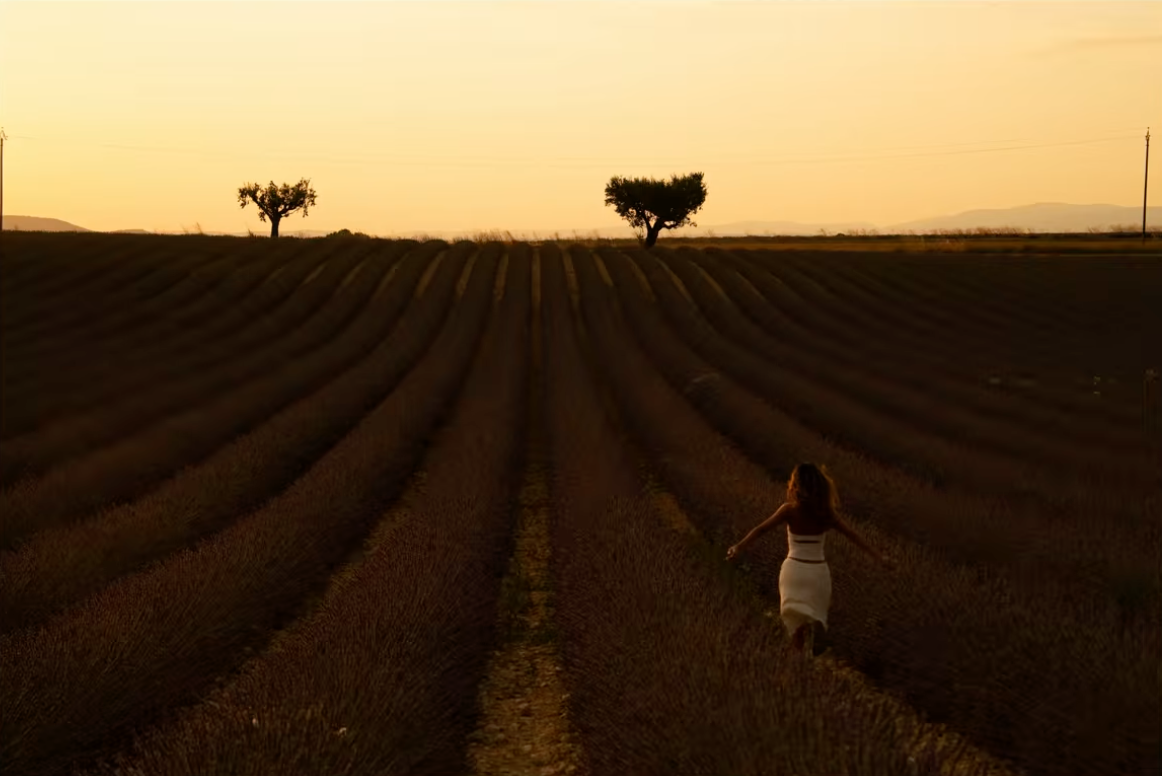 The lavender field before color work, flat with the purple barely showing