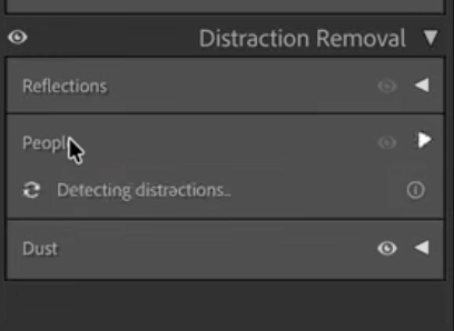 Lightroom's Distraction Removal panel detecting people, reflections and dust