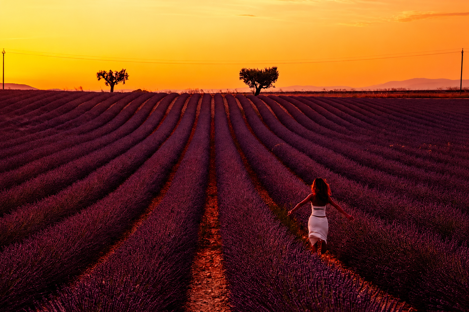 The lavender field before Color Mixer adjustments