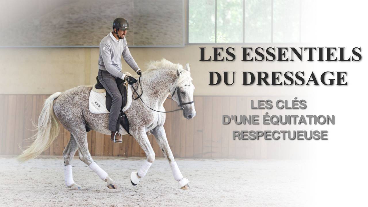 Les Essentiels du Dressage, le programme vidéo de Pierre Beaupère