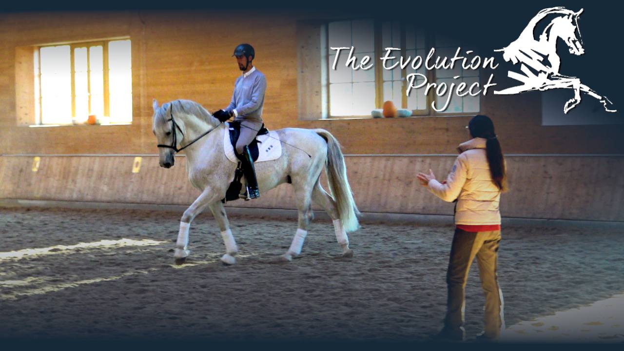 Les épisodes de la série The Evolution Project