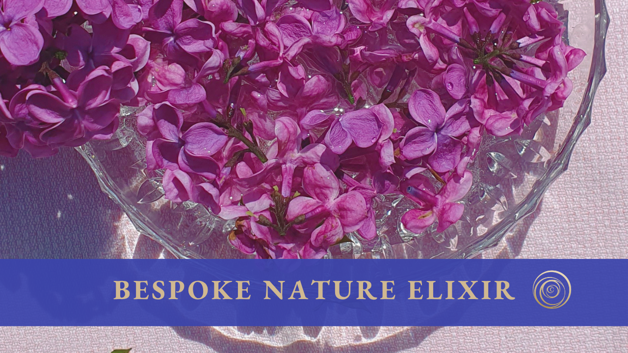 Plants and glass bottles for nature-based elixir support
