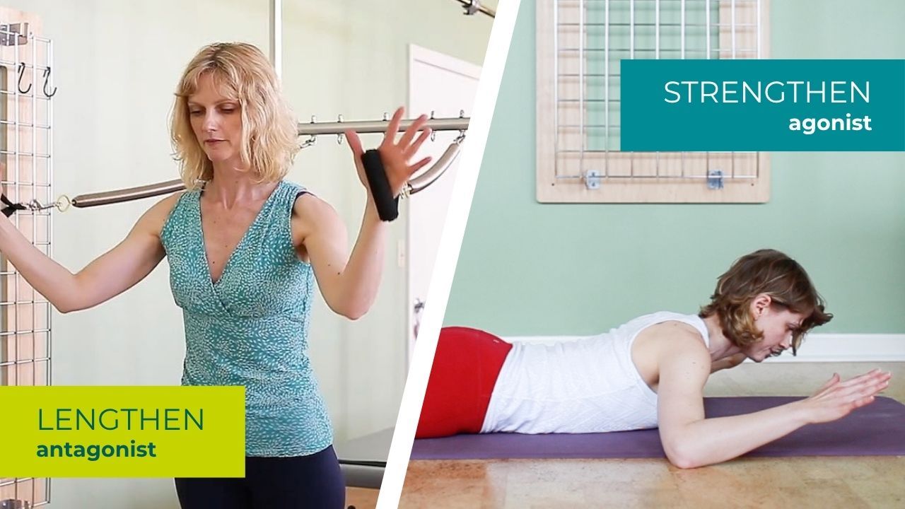 How to Know What to Strengthen and What to Lengthen