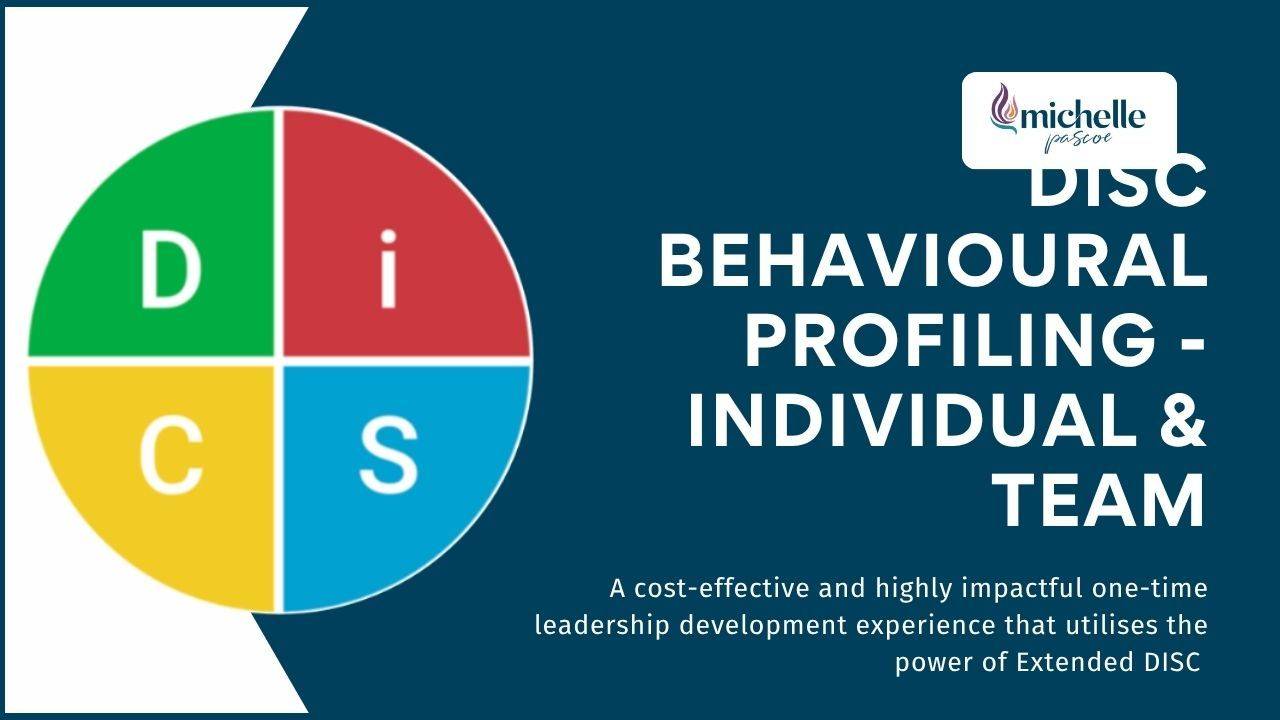 DISC Behavioural Profiling - Individual & Team