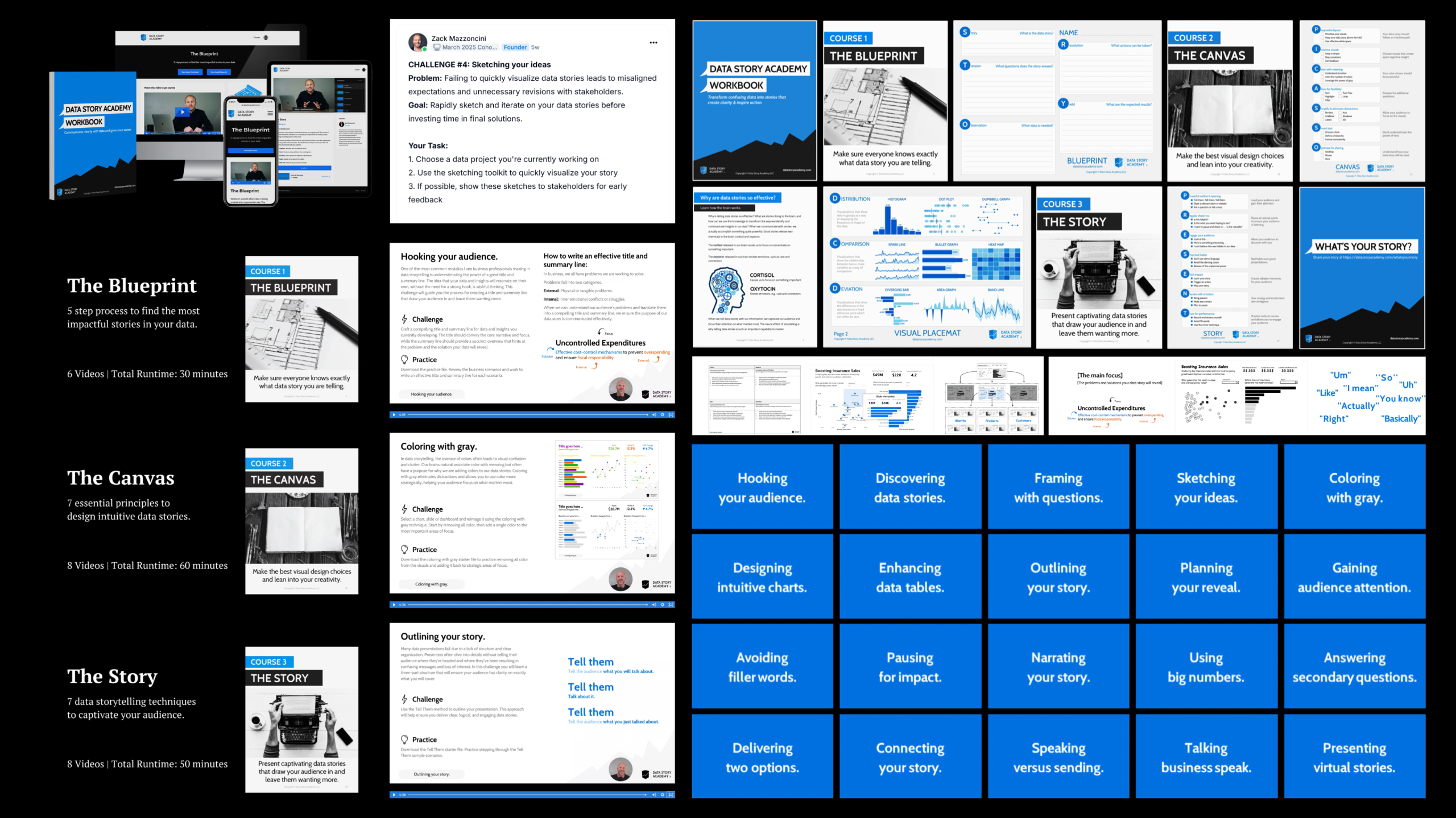 You’re In! Data Storytelling Program (Oct 20–Nov 14)