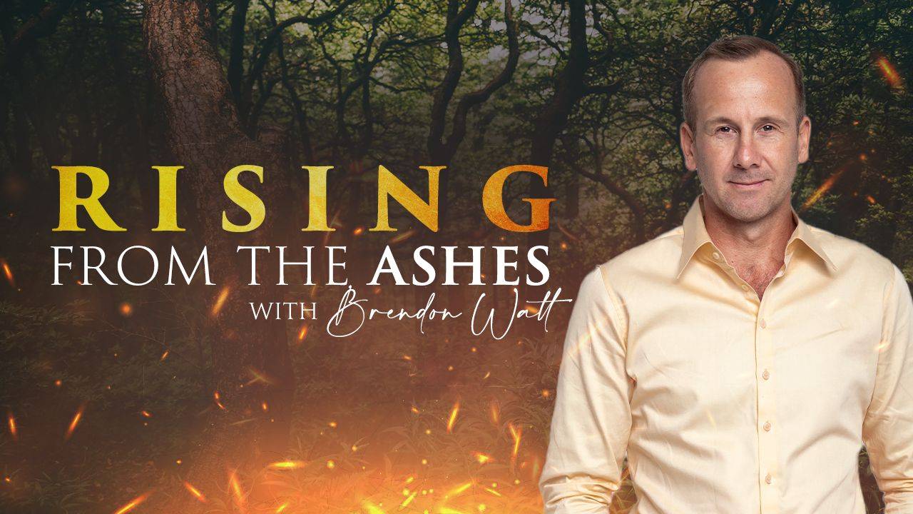 Rising From The Ashes