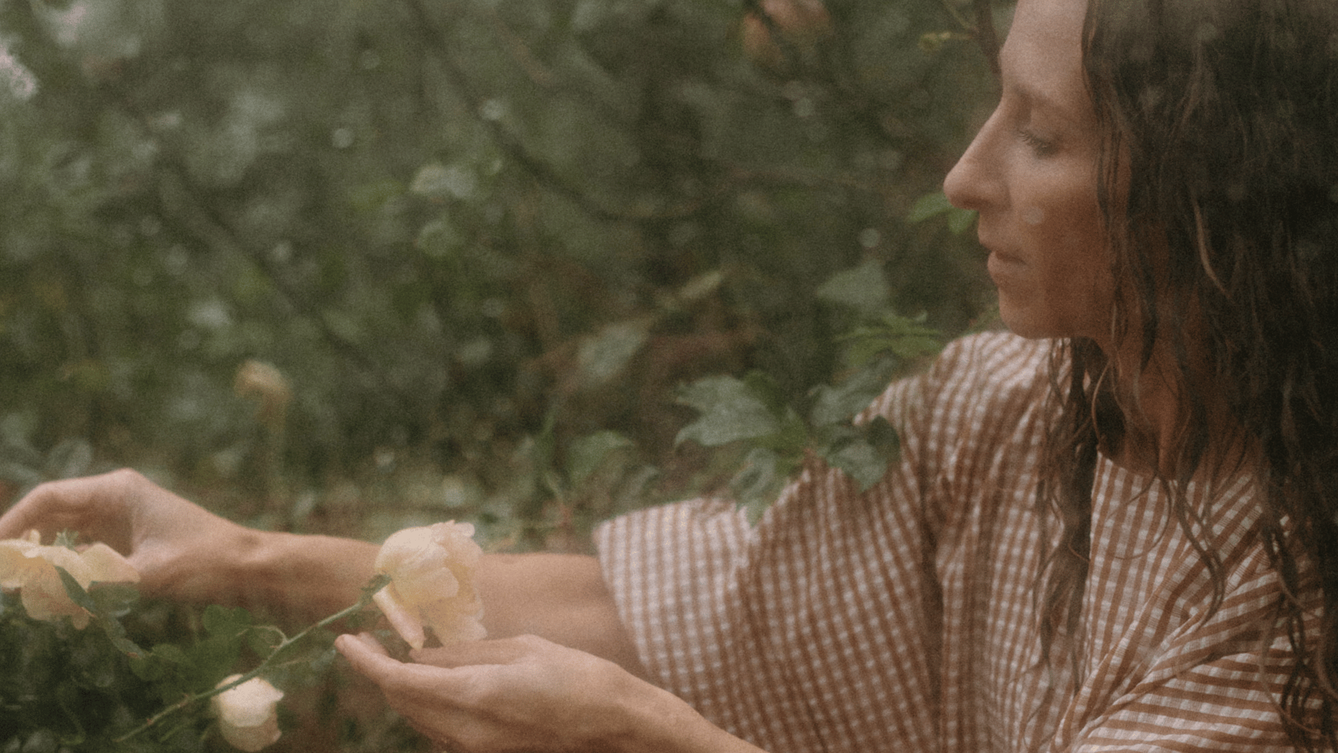 Bonnie Christine in a gingham blouse, reaching for cream roses in the garden