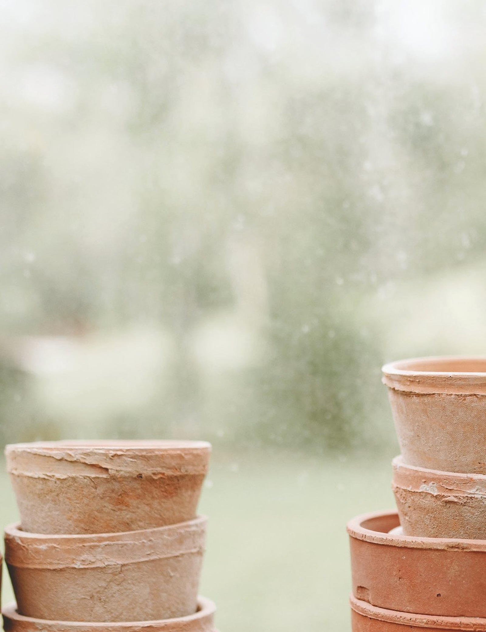 Terracotta pots and seed trays on a potting bench, ready for spring