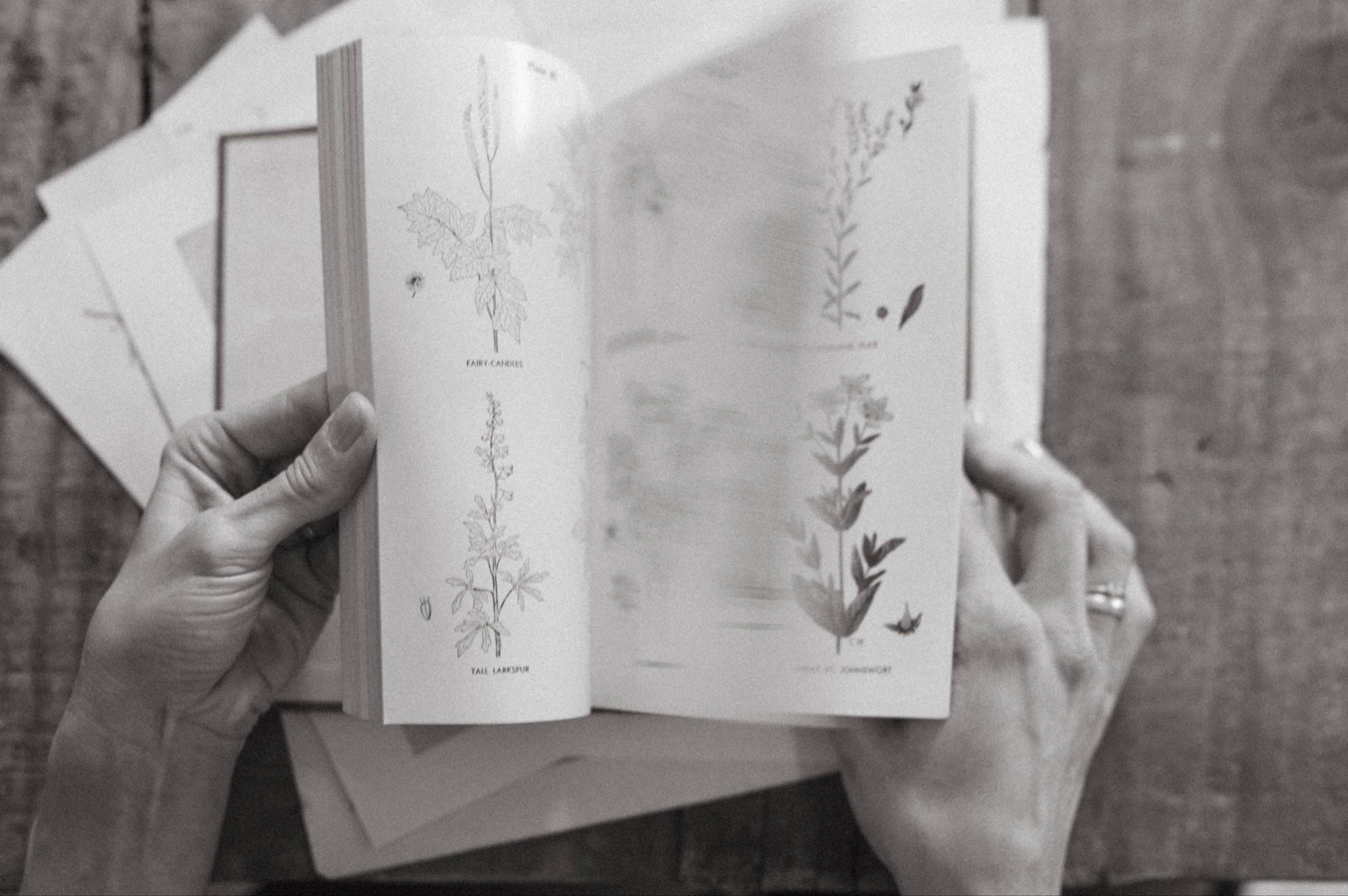 Hands flipping through a botanical sketchbook