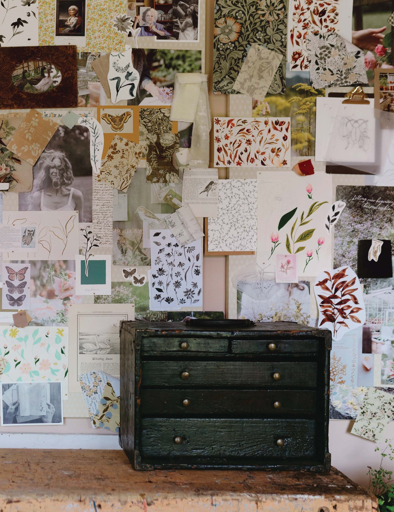 A wall of pinned inspiration, pressed botanicals, and pattern swatches above a black chest of drawers