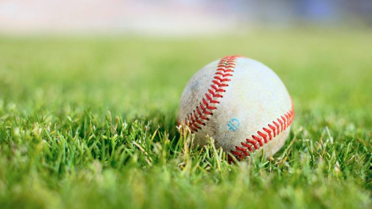 Baseball sitting in field of grass