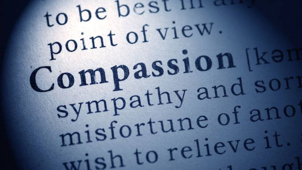 Close up photo of compassion dictionary definition