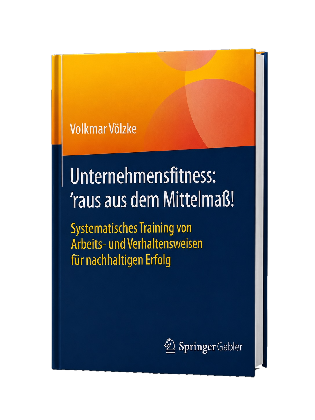 Buch Unternehmensfitness von Volkmar Völzke