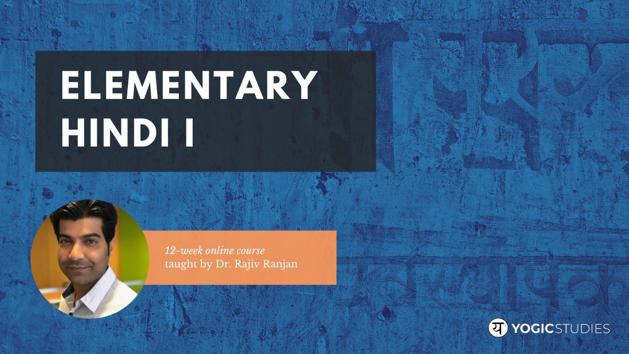 HINDI LANGUAGE 101 visual data 7