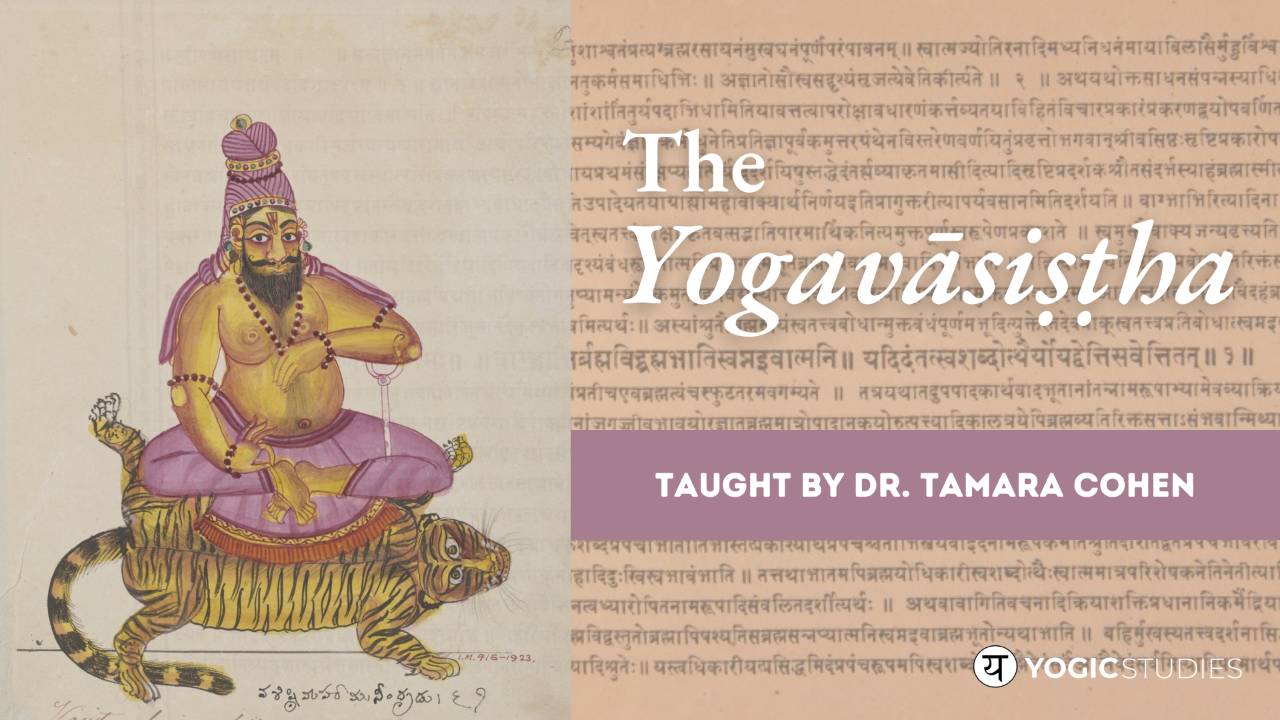 YS 218 | The Yogavāsiṣṭha