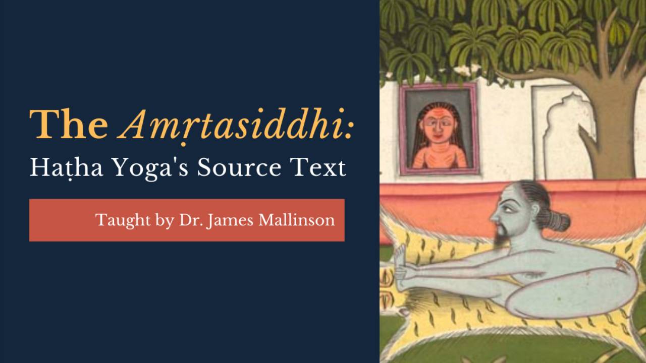 YS 206 | The Amṛtasiddhi: Haṭha Yoga's Source Text