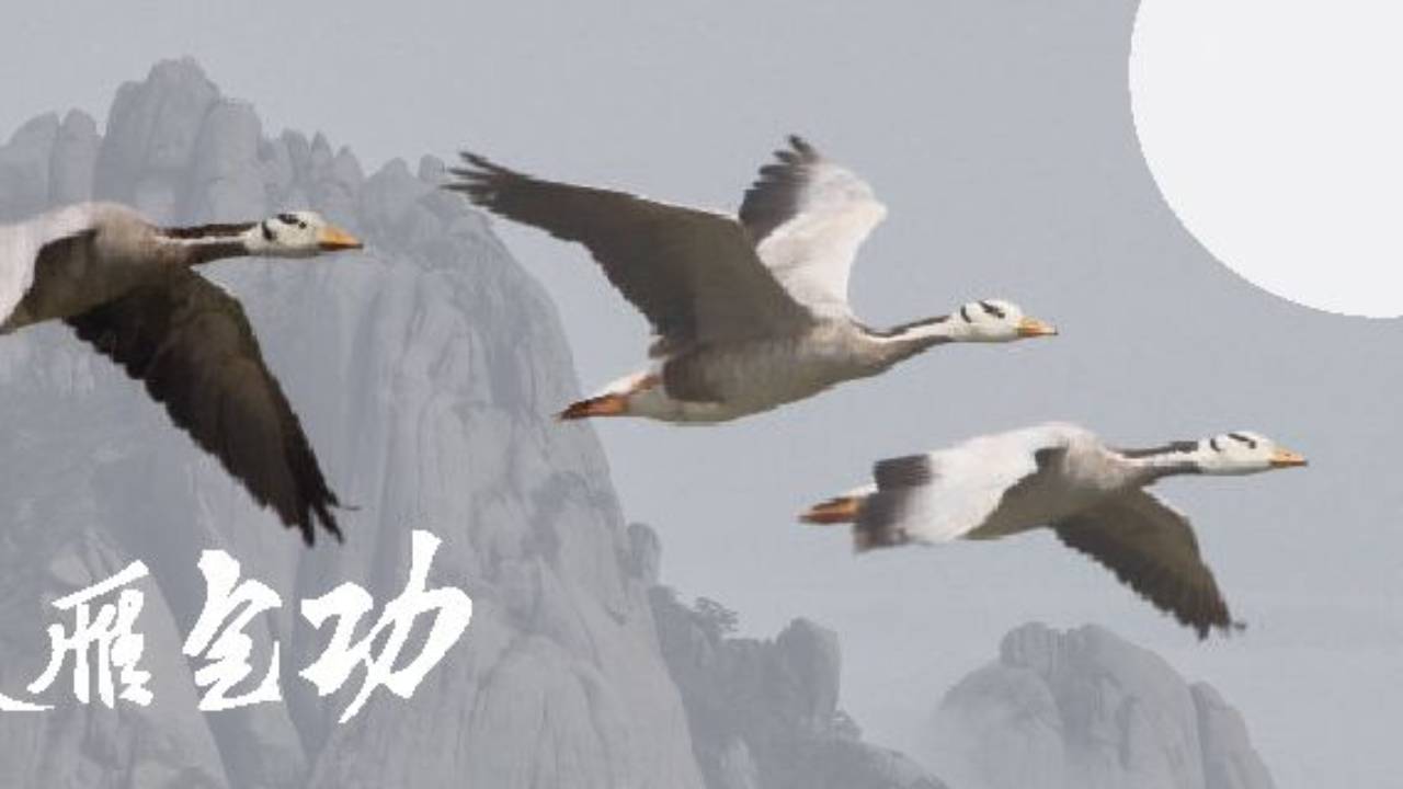 Video Poster Image