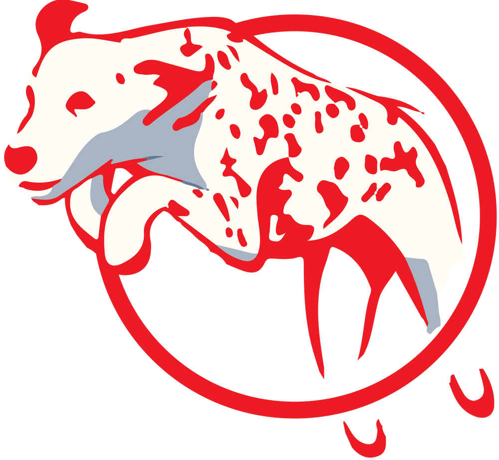 Footer Logo