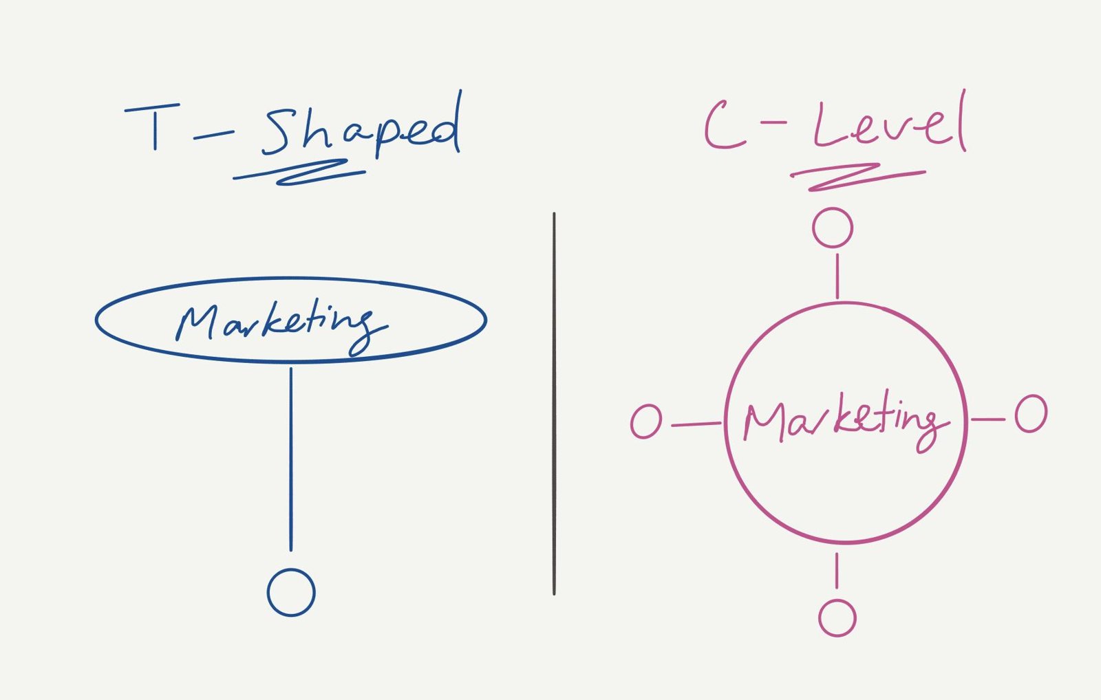Comparison of a T-shaped marketer, deep in marketing, with a C-level marketer connected across functions.