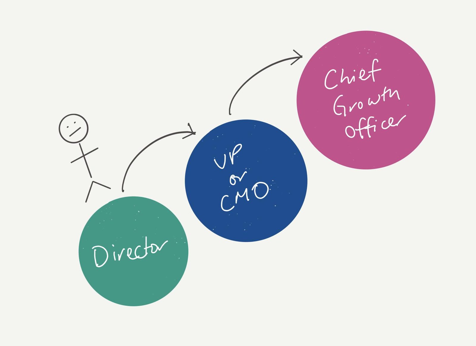 Career path from director to VP or CMO to chief growth officer.