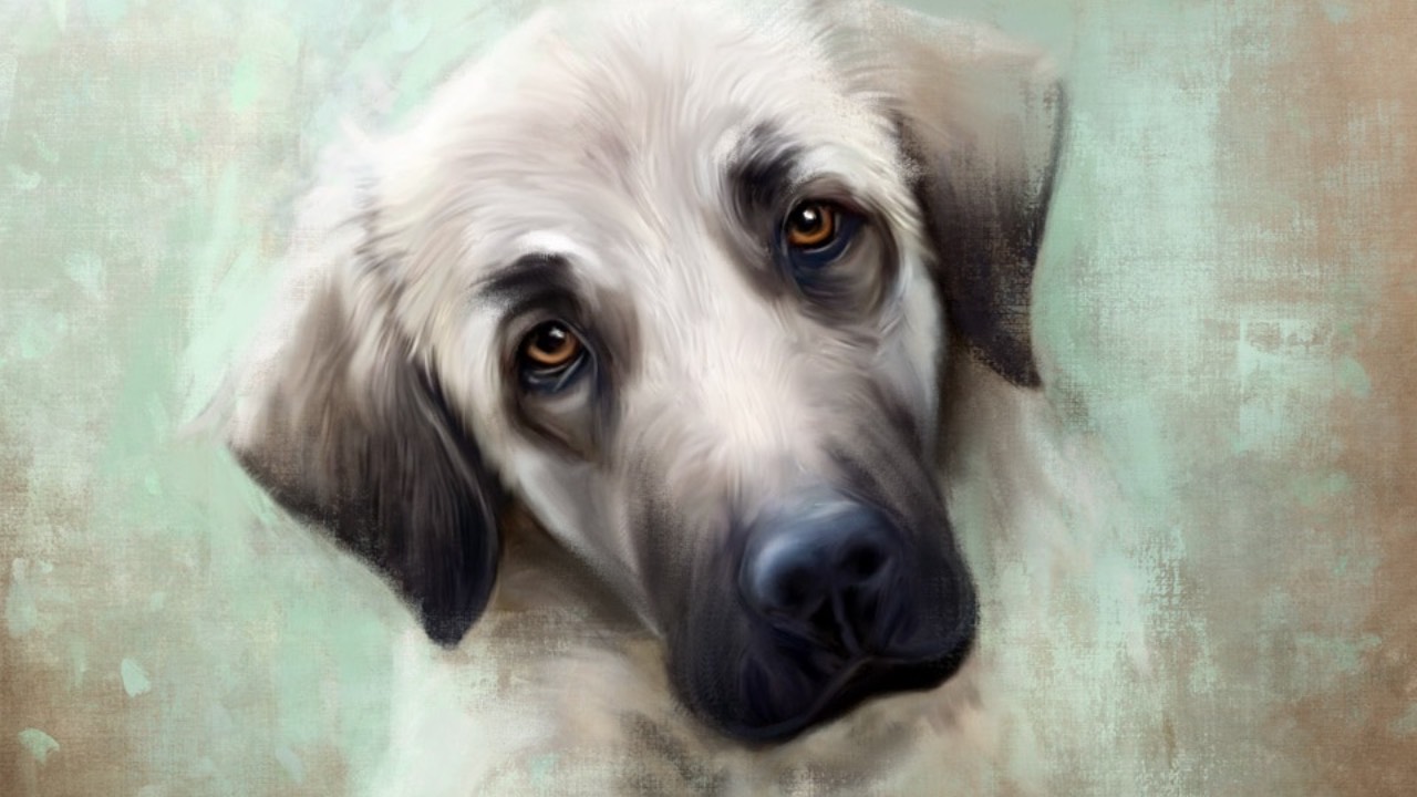 Cherished Beyond Measure