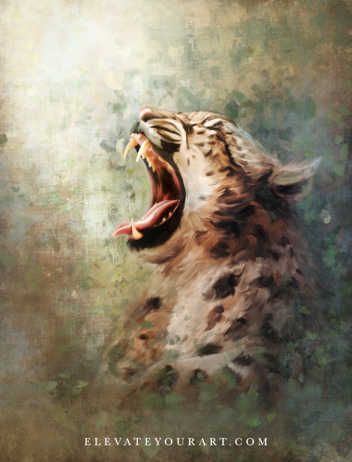 Leopard