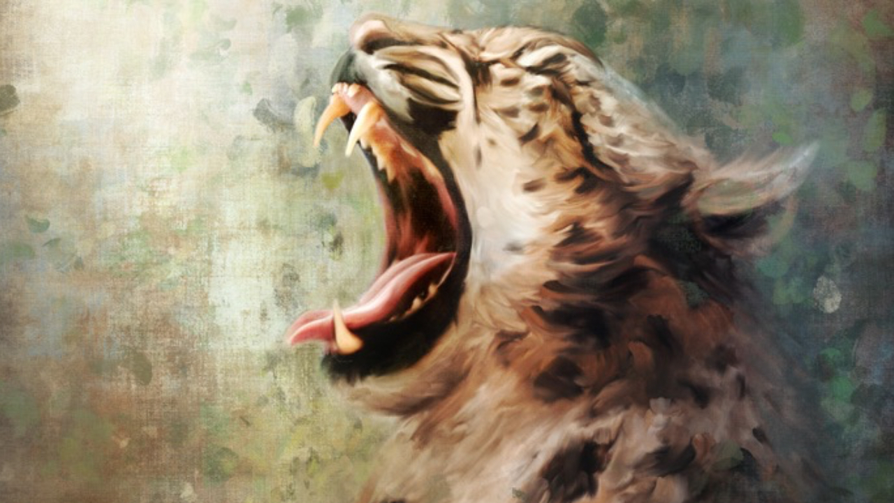 Leopard