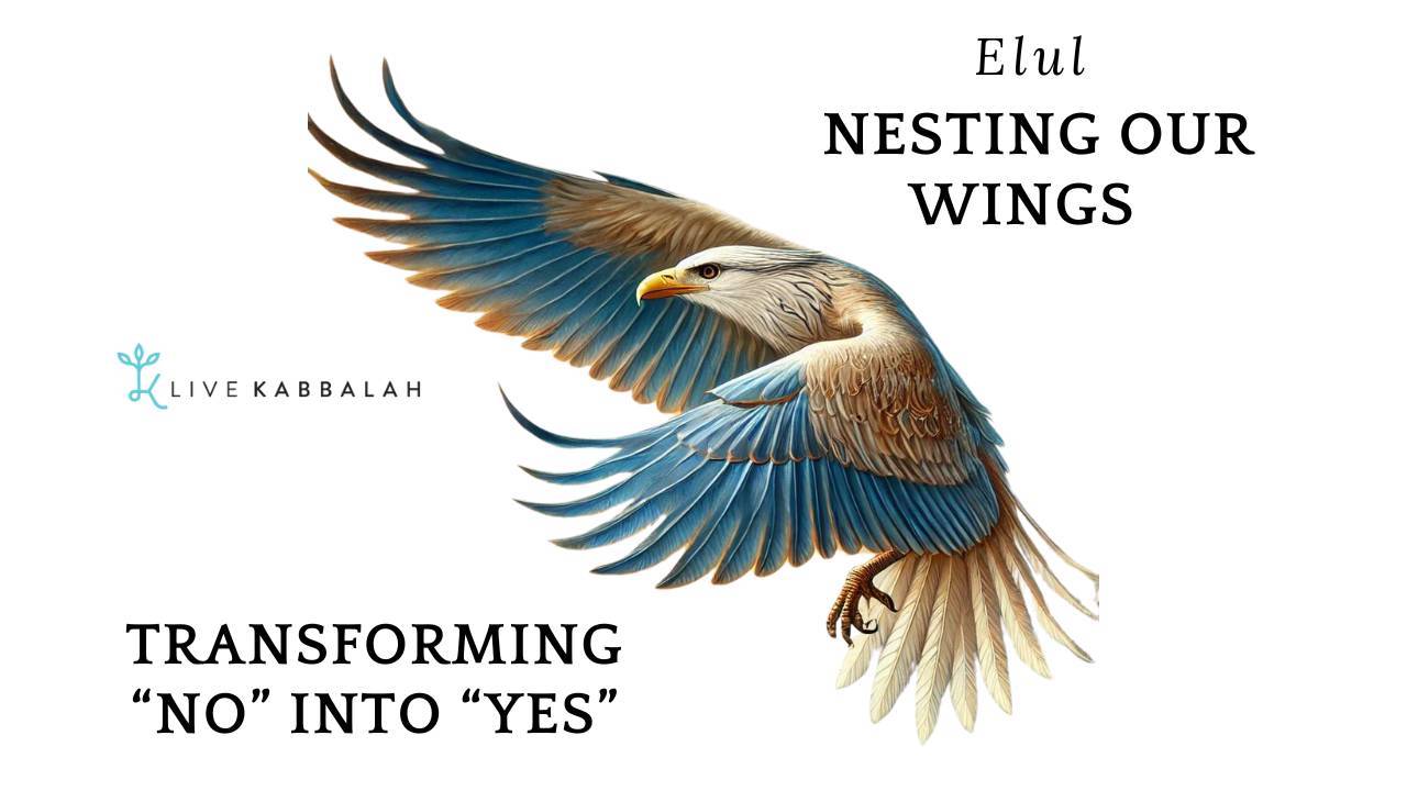 Elul: Nesting Our Wings — Transforming “No” into “Yes”